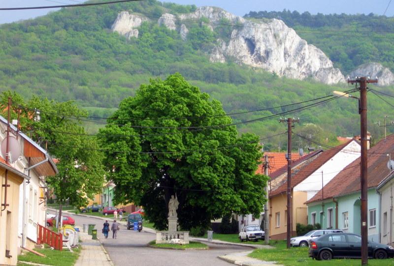 Penzion Bouquet Horní Věstonice Kültér fotó